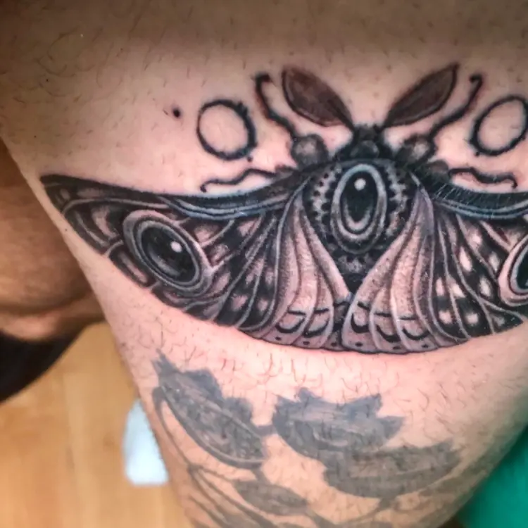 Polilla
