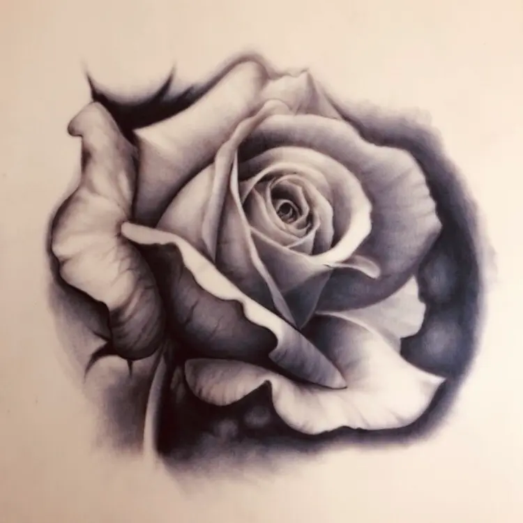 Rosa realista
