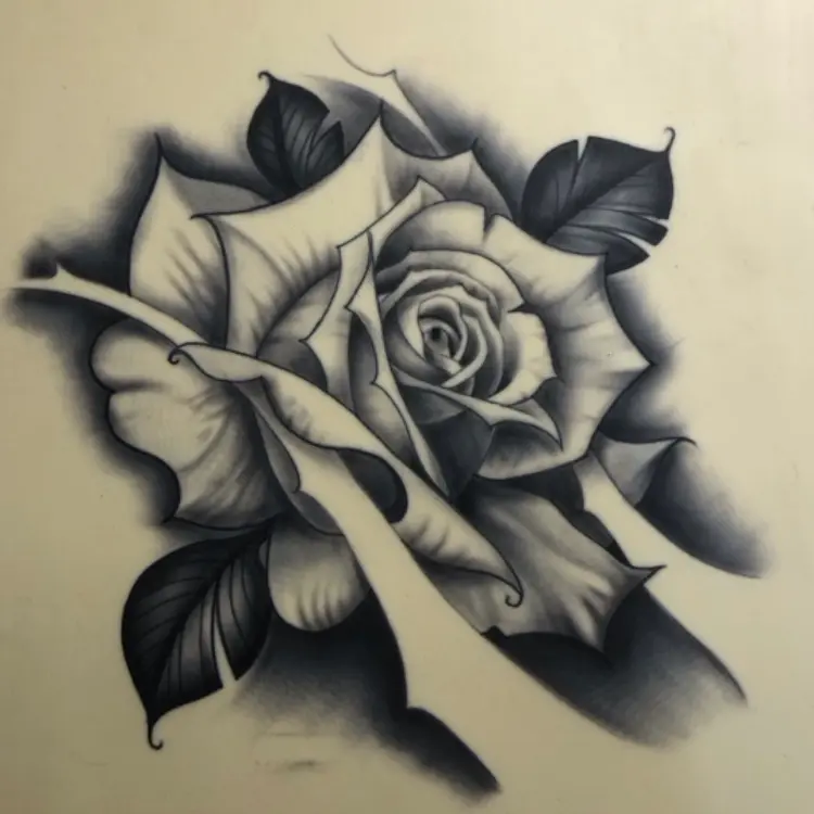 Rosa semirrealista